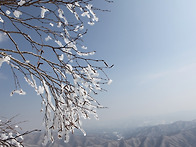 계방산 눈꽃_2