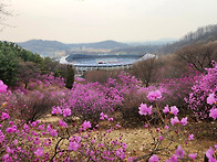 진달래동산에서