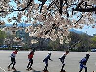 봄벚꽃과달리기ᆢ