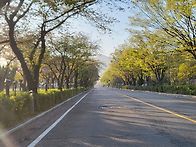 온천로의 아침산책길에서ㆍ