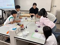 자유탐구1기(고학년)(25..