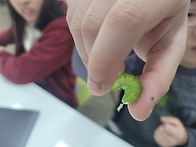 무주 부남초(260325)