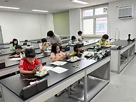 자유탐구1기 저학년