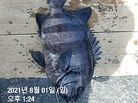 주말 초도