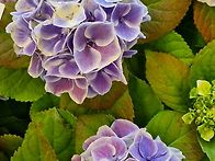 평택 안전기원제