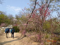 200412관악산