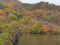 주왕산 주산지그리고 성지..