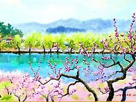 경산 반곡지의 봄 