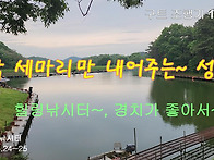 구트 조행기 145화 - 딱 세마리만 내어주는..