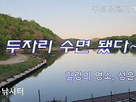 구트조행기 179화 - 두자리 수면 됐다~