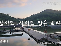 구트 조행기 186화 - 많지도, 적지도 않은..