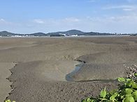 옹진군.3도6산~