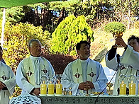 위령의 날 합동 위령미사(..