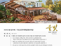 25년 6월 1일(다..