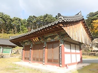 대구 비슬산(202..