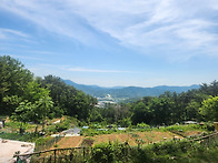 5.19 화요일 금정산 둘레..
