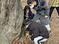 12월12일 6-7세 도시숲 체..
