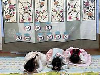 1월18일 유아반(5-7세) ..