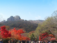 11월 산행지