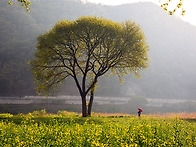 봄3