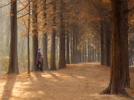 인천대공원-메타길