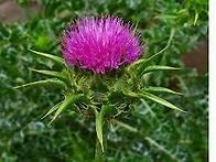 [5.18 민주화항쟁] 큰아버..