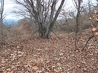 항곡리산성 (恒谷里山城,..