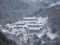 백양사
