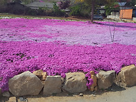 조경공사