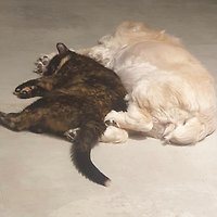 작가 프로필 이미지