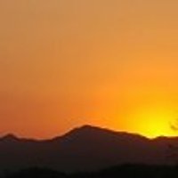 작가 프로필 이미지