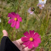멤버십 가입 혜택 작가 프로필