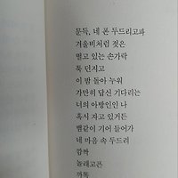 프로필