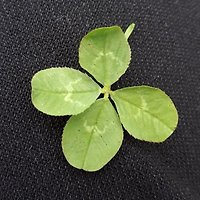 작가 프로필 이미지