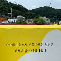 프로필