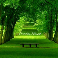 작가 프로필 이미지