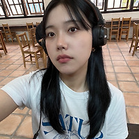 소닉카지노