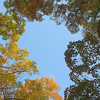 작가 프로필 이미지