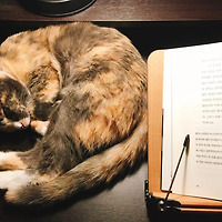 작가 프로필 이미지