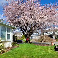 작가 프로필 이미지