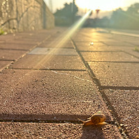 작가 프로필 이미지