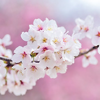 작가 프로필 이미지