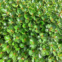 작가 프로필 이미지