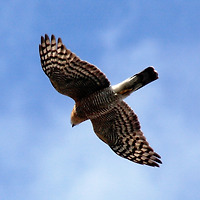 작가 프로필 이미지