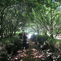 홍진희 작가 이미지