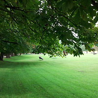 멤버십 가입 혜택 작가 프로필