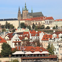 작가 프로필 이미지