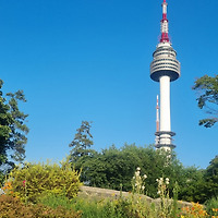 작가 프로필 이미지