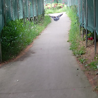 작가 프로필 이미지