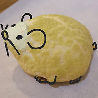 카지노 가입 쿠폰 프로필